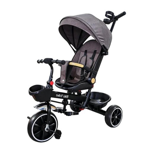 cumpără Bicicletă-cărucior Richi (64699) JTRL39 Tricicleta gri pentru copii în Chișinău 