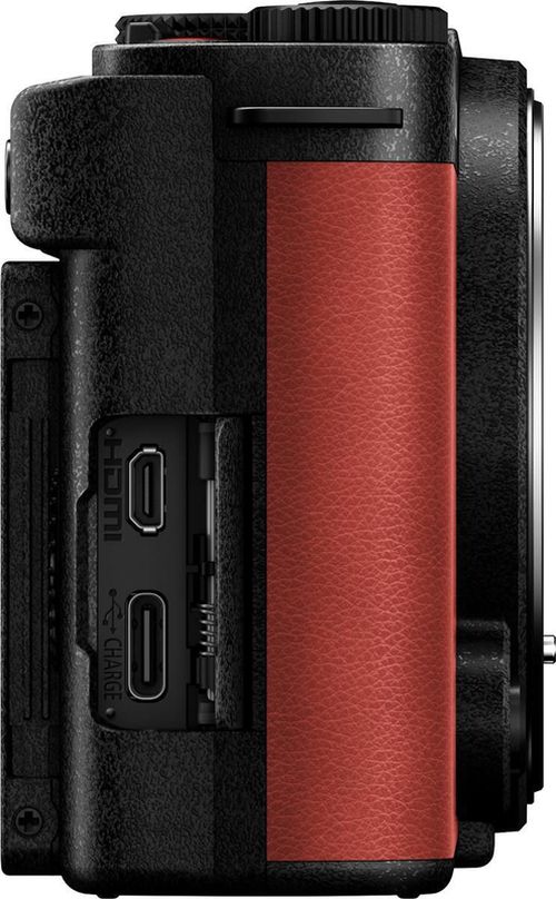 купить Фотоаппарат беззеркальный Panasonic Lumix DC-S9E-R в Кишинёве 