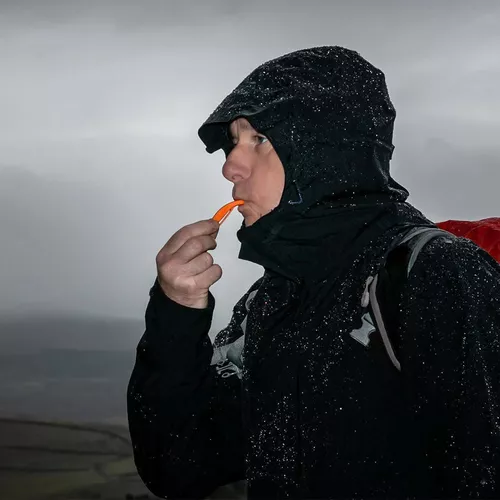 купить Спортивное оборудование Lifesystems Fluier Echo Whistle в Кишинёве 