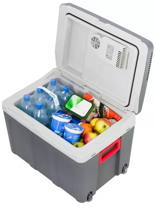 cumpără Frigider portabil Camry CR 8093 în Chișinău 