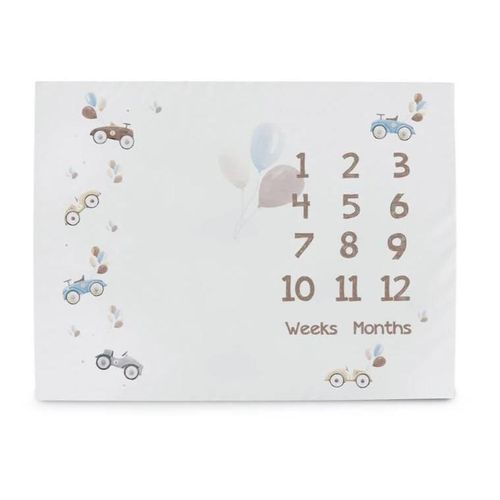 cumpără Covoraș de joacă Ceba Baby W-309-000-641 Covoras Milestone Mat Basic Animals, 92x72cm în Chișinău 