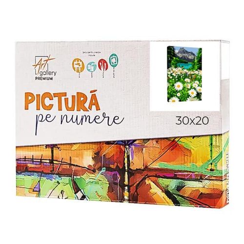 купить Картина по номерам Art Gallery CX4453 20x30cm Romanite in munti в Кишинёве 