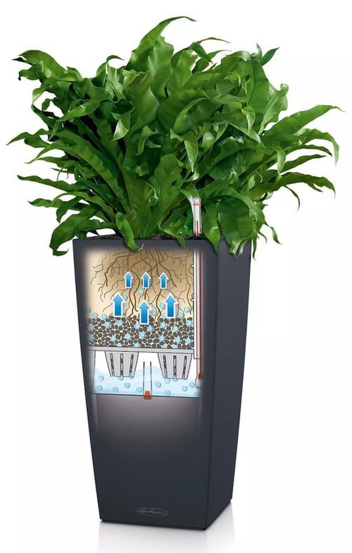 купить Цветочный горшок Lechuza Cubico Color 40, White в Кишинёве 