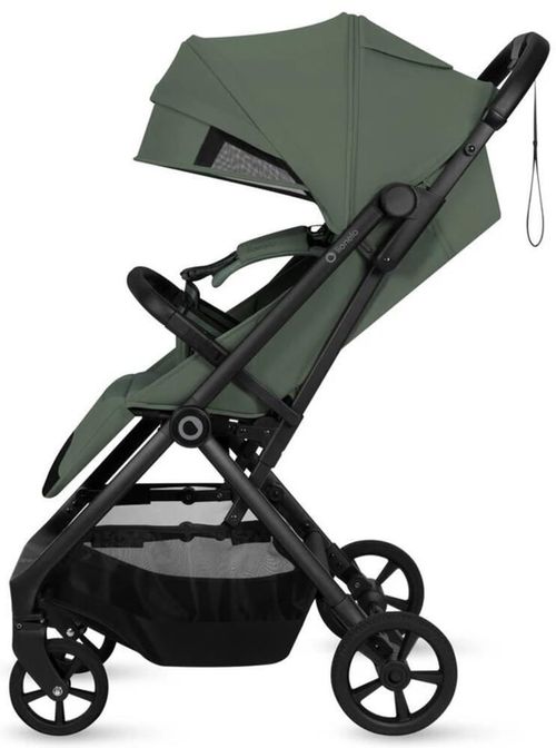 купить Детская коляска Lionelo Tansi Green Emerald в Кишинёве 