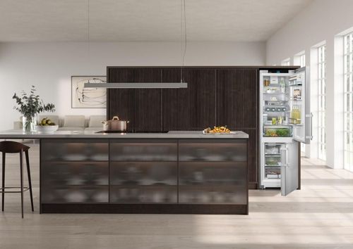 cumpără Frigider cu congelator jos Liebherr CNsdd 5763 în Chișinău 