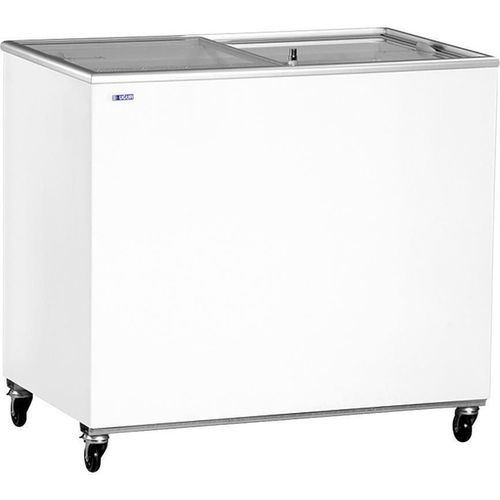 купить Ларь-бонета Ugur UDD 300 SC (110103) в Кишинёве 