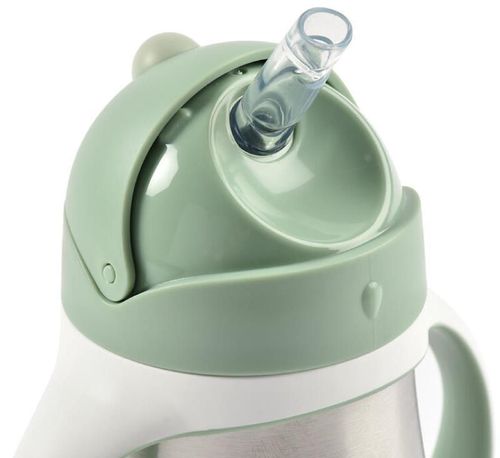 купить Поильник Beaba B913535 Cana cu pai din inox 250 ml Sage Green в Кишинёве 