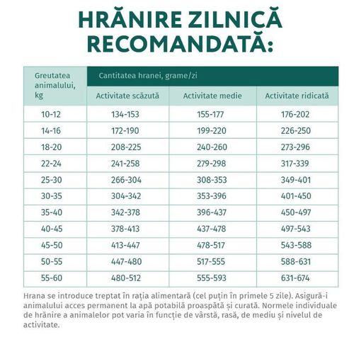 cumpără Hrană pentru animale de companie Optimeal 24231032 Sac caini activ hipo somon 20 kg în Chișinău 