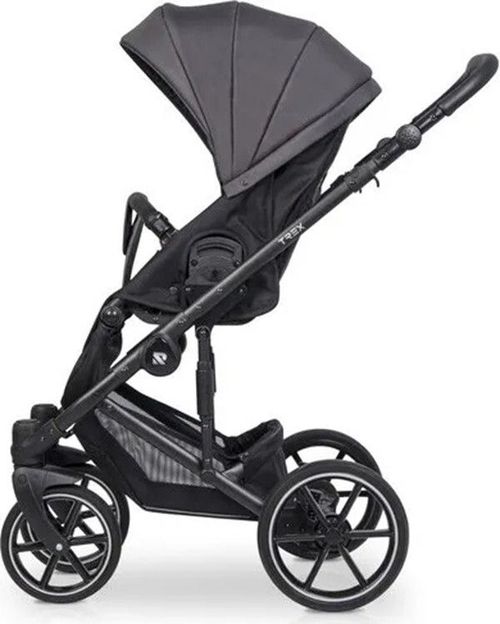купить Детская коляска Riko Carucior 2in1 Trex antracite в Кишинёве 