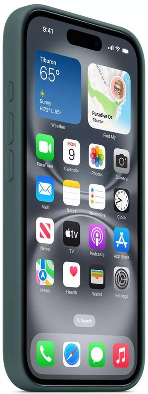 cumpără Husă pentru smartphone Apple iPhone 16 Silicone Case with MagSafe Lake Green MYY83 în Chișinău 