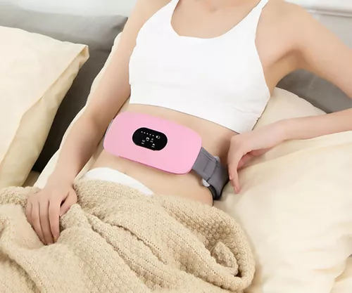 купить Массажер электрический inSPORTline 6058 Aparat masaj IN 23096 Barryfer в Кишинёве 