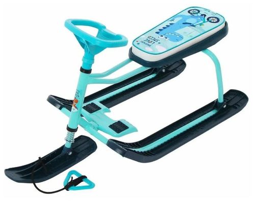 купить Транспорт для детей Nika ТС1+ Sanie cu volan cu frina TIMKA asorti в Кишинёве 