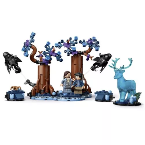 cumpără Set de construcție Lego 76475 Forbidden Forest Expecto Patronum în Chișinău 