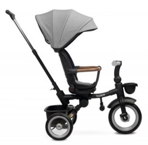 купить Велосипед-коляска Toyz 0365 Saber Grey в Кишинёве 