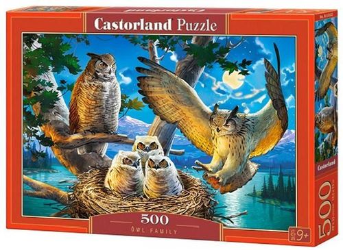 купить Головоломка Castorland Puzzle B-53322 Puzzle 500 elemente в Кишинёве 
