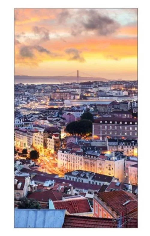 cumpără Monitor profesional Samsung LH55VHCEBGBXEN în Chișinău 