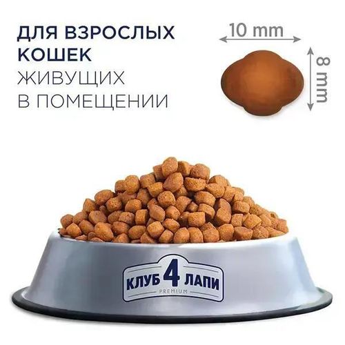 купить Корм для питомцев CLUB 4 PAWS 24231022 Sac pisici indoor 4in1 14 kg в Кишинёве 