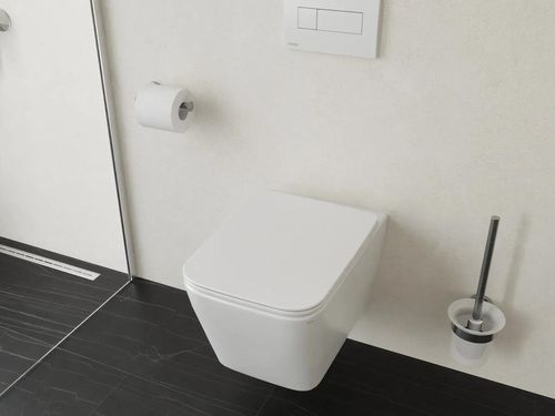 cumpără Vas WC Ravak Natural RimOff set white X01984 în Chișinău 