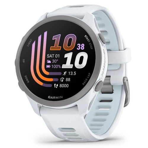 cumpără Ceas inteligent Garmin Forerunner 170, GPS, Whitestone/Cloud Blue, WW (010-03920-01) în Chișinău 