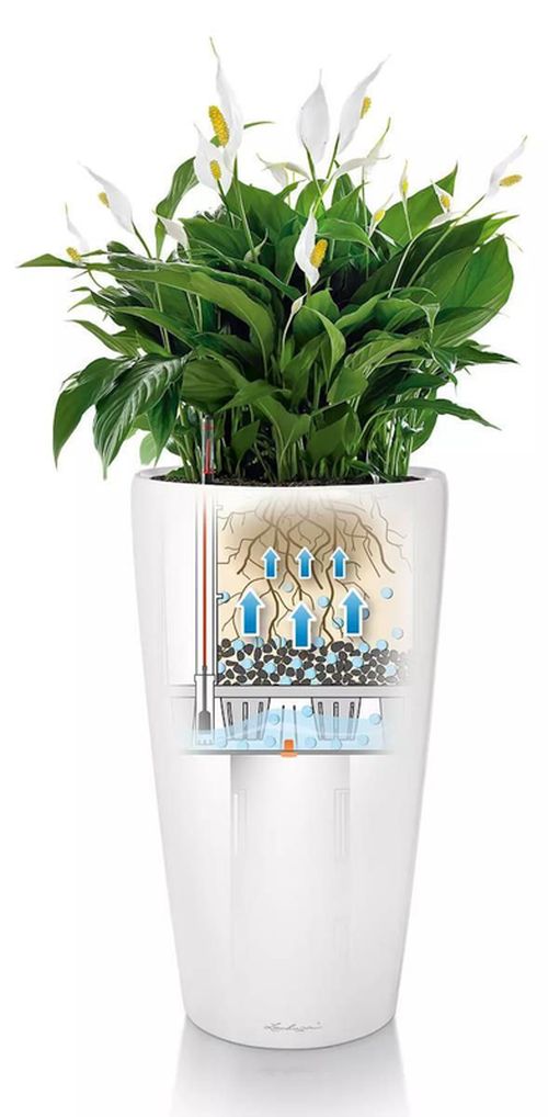 cumpără Ghiveci pentru flori Lechuza Rondo Premium 32, White Matt în Chișinău 