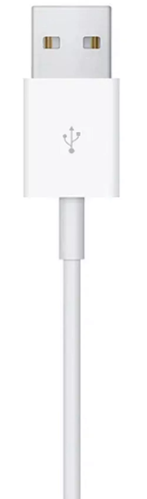 cumpără Încărcător wireless Apple Watch Magnetic Charging Cable 1.0м MX2E2 în Chișinău 