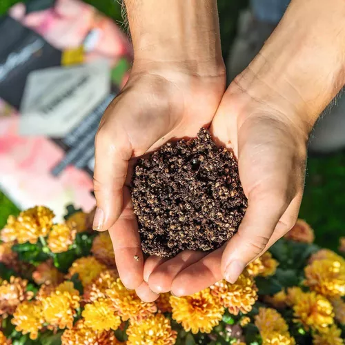 купить Субстрат для растений Lechuza Terrapon, 12l в Кишинёве 