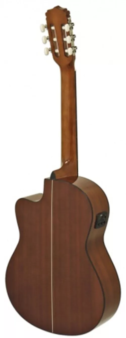 cumpără Chitară Aria Electro-Classic A-10CE MTN în Chișinău 