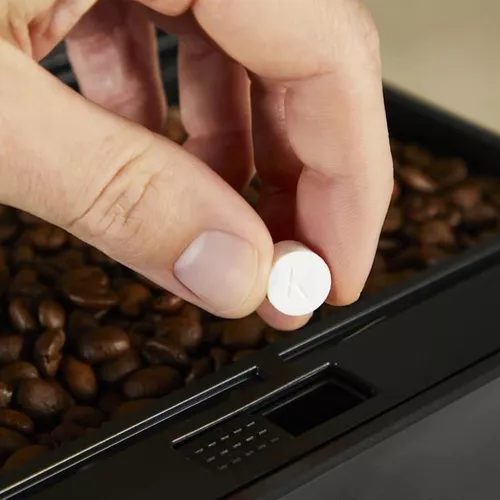 купить Кофемашина Krups EA89ZB10 Classic Edition в Кишинёве 