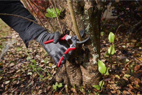 cumpără Foarfecă de gradină Milwaukee 4932498621 taiere ramuri 25mm în Chișinău 