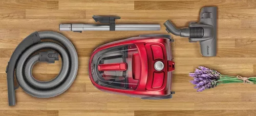 cumpără Aspirator cu container Gorenje VC2303SPRCY în Chișinău 