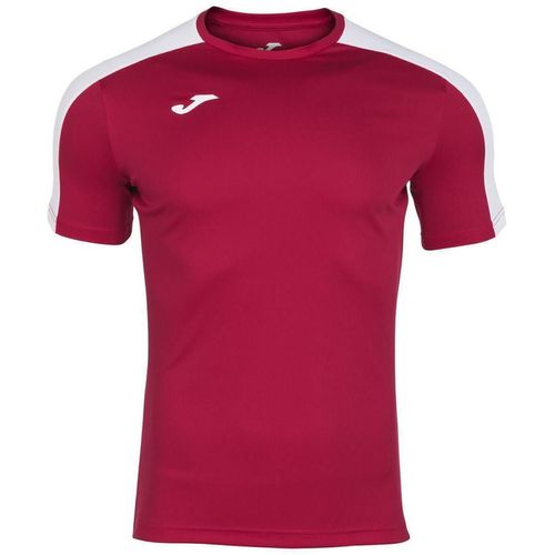 купить Одежда для спорта Joma Red-White Academy T-Shirt M/C (L) 101656.602 в Кишинёве 