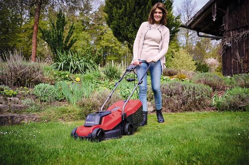 cumpără Trimmere pentru iarba Einhell GC-EM 1000/32 1000W 30l (34.000.70) în Chișinău 