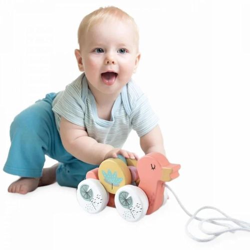 cumpără Jucărie Noriel INT4586 Bebe Ratusca pe Rotile în Chișinău 