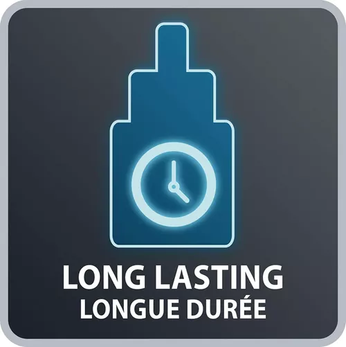 купить Вентилятор напольный Rowenta VU4210F0 в Кишинёве 