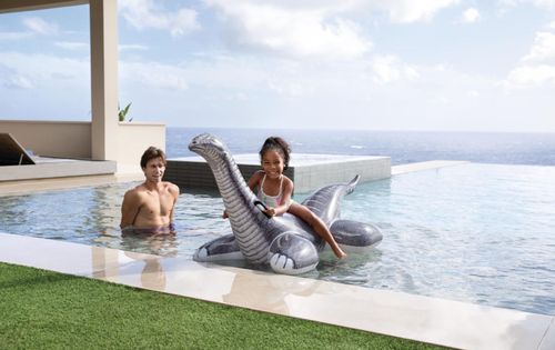 купить Надувная игрушка Intex 57584 Dinozaur gonflabil Brontozaur 178x94 cm, până la 40 kg, 3+ в Кишинёве 