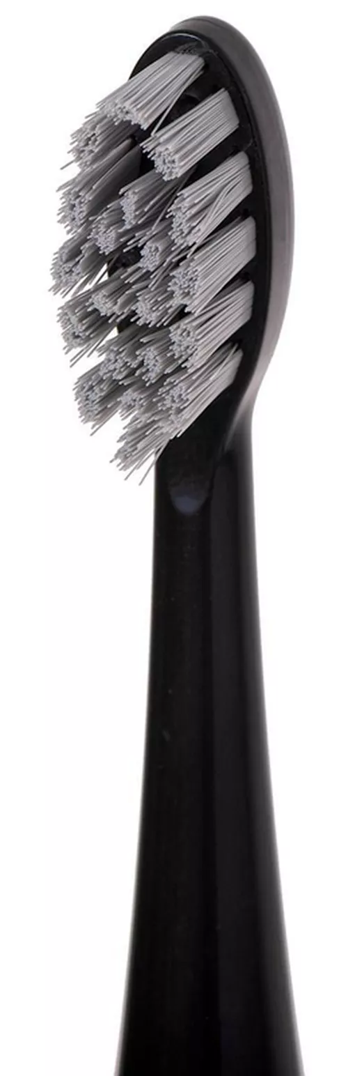 cumpără Irigator Adler AD 2180 Black în Chișinău 