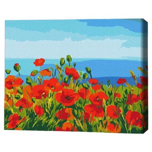 купить Картина по номерам BrushMe RBS1005FC 30x40 сm (fără cutie) Câmp de maci. Claude Monet в Кишинёве 