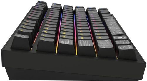 cumpără Tastatură gaming Dark Project ALU Terra Nova Black - Wireless în Chișinău 