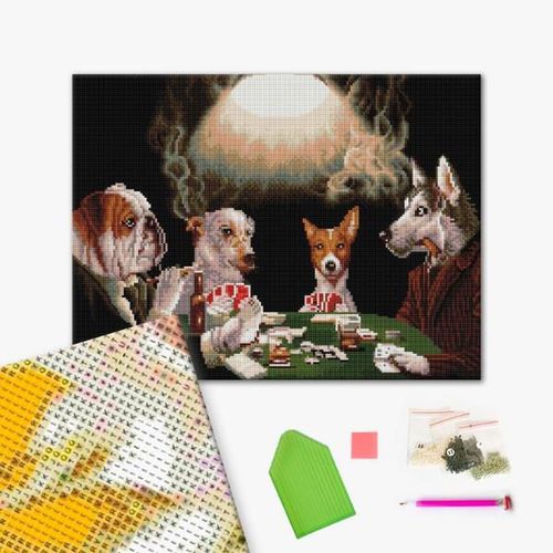 cumpără Tablou pe numere BrushMe DBS1221FC Mozaic cu diamante 40x50сm (fără cutie) Bluff, Lucia Heffernan în Chișinău 