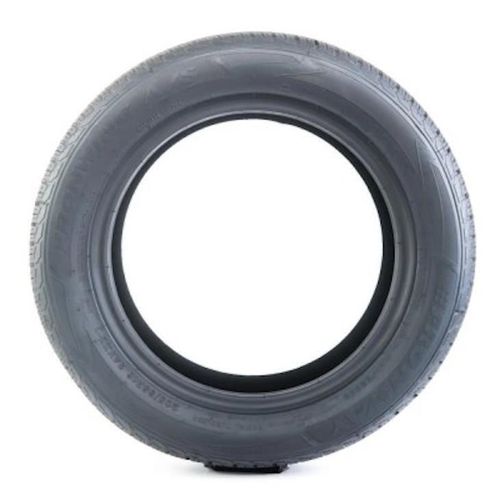 купить Шина Fronway 195/55 R20 91V FRONWING A/S (2EFW878F) в Кишинёве 