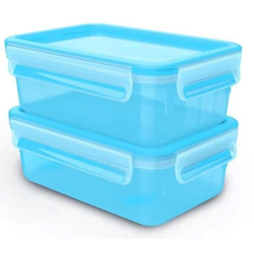 cumpără Container alimentare Tefal N1033845 Set Master Seal Essential 1l 2buc în Chișinău 