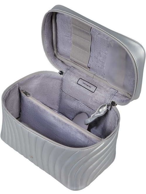 купить Несессер/косметичка Samsonite C-Lite (142674/1627) в Кишинёве 