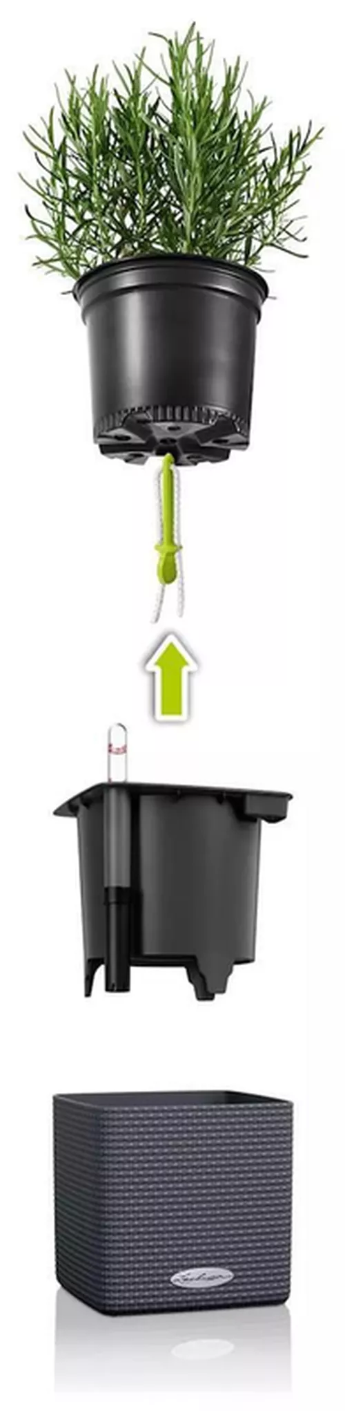 cumpără Ghiveci pentru flori Lechuza Cube Color 16, White în Chișinău 