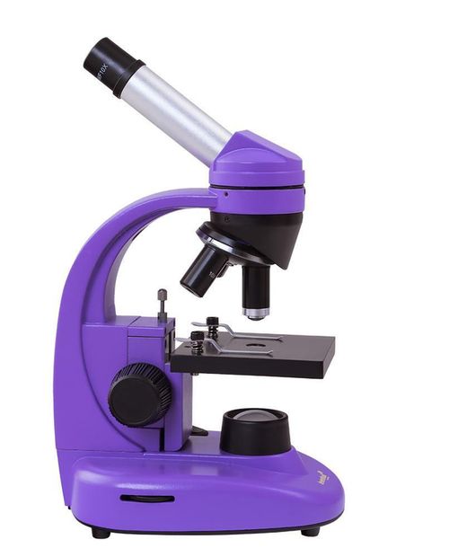 cumpără Microscop Levenhuk Rainbow 50L Amethyst în Chișinău 