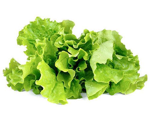 купить SMART HOME GREEN LETTUCE REF. GLETT-REFILL-3 CLICK&GROW в Кишинёве 