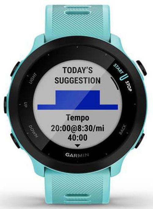 cumpără Ceas inteligent Garmin Forerunner® 55 (010-02562-12) în Chișinău 