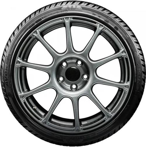 купить Шина Avon 195/55 R16 91H AS7 ALL SEASON XL в Кишинёве 