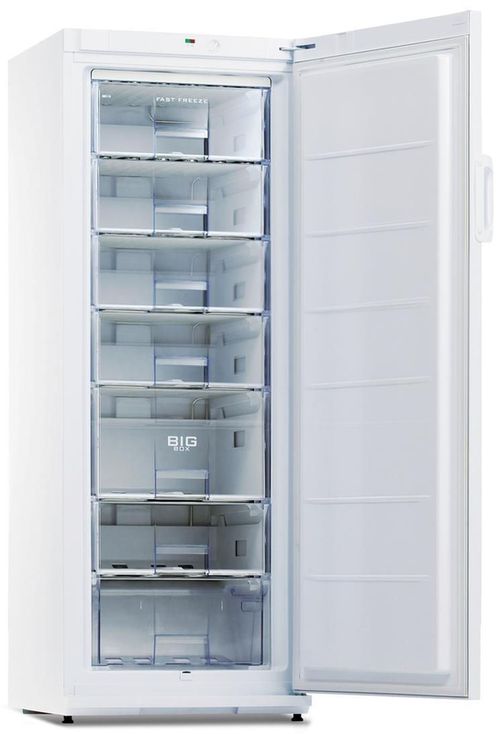 купить Морозильник Snaige F 27SM-T1000E в Кишинёве 