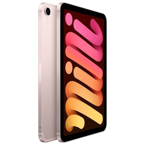 купить Планшетный компьютер Apple iPad Mini 6th Gen 64GB, Wi-Fi Only, Pink MLWL3 в Кишинёве 