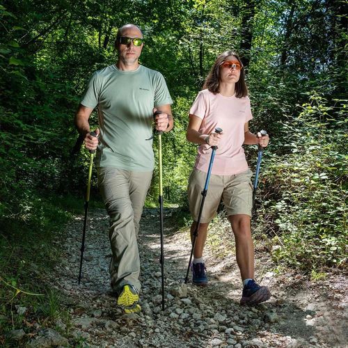 купить Треккинговые палки Masters RANGER Lime (01S1425) в Кишинёве 